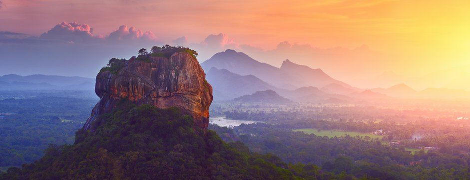 Where Nature Comes Alive