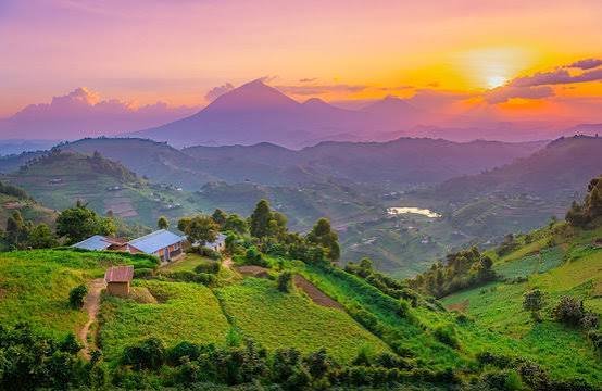GORILLA TREKKING SAFARI IN UGANDA -VIA KIGALI RWANDA 